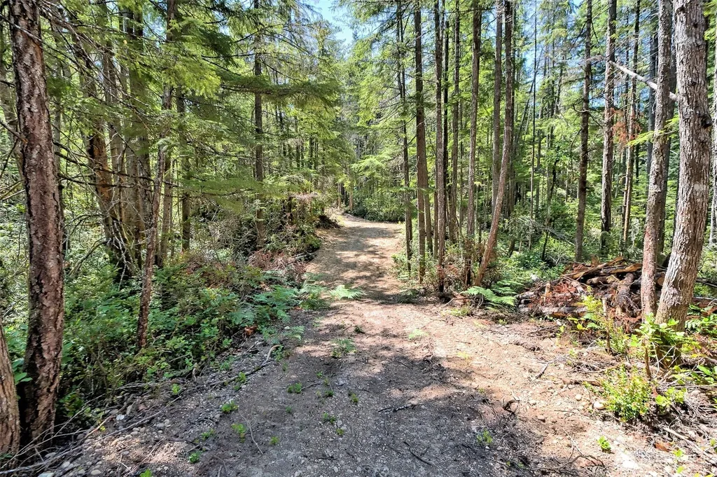 0 NE Eagle Creek Lane Tahuya WA 98528