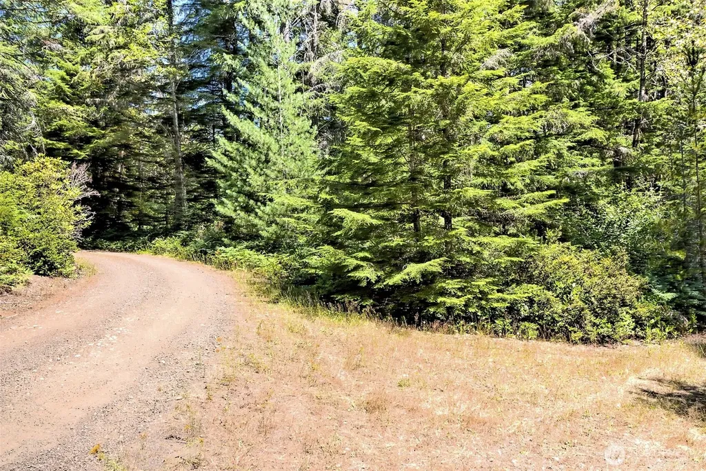0 NE Eagle Creek Lane Tahuya WA 98528