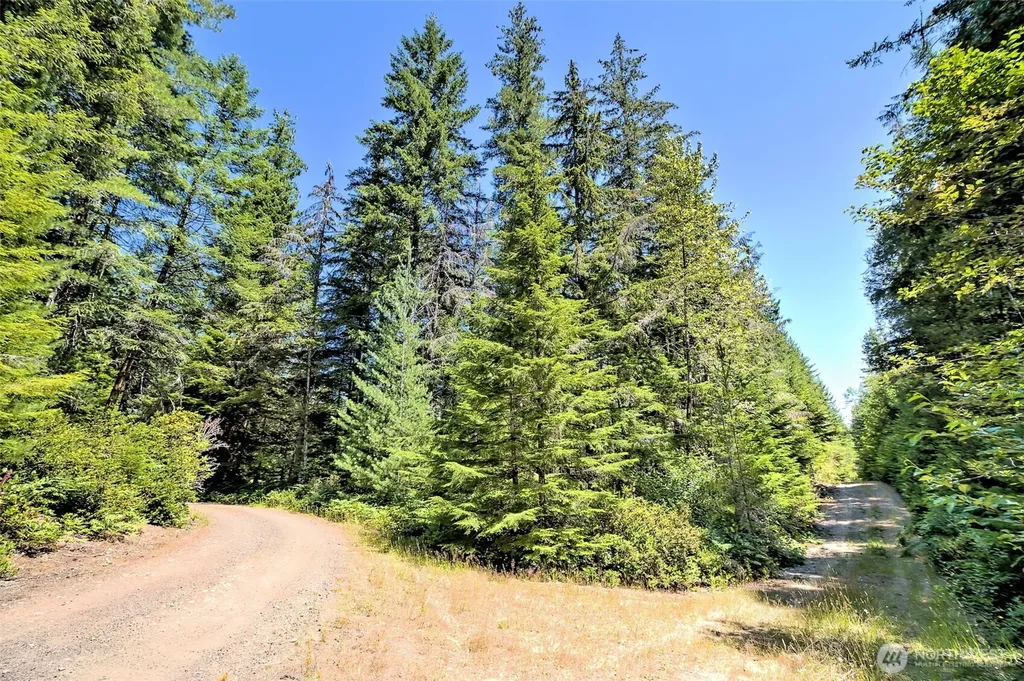 0 NE Eagle Creek Lane Tahuya WA 98528