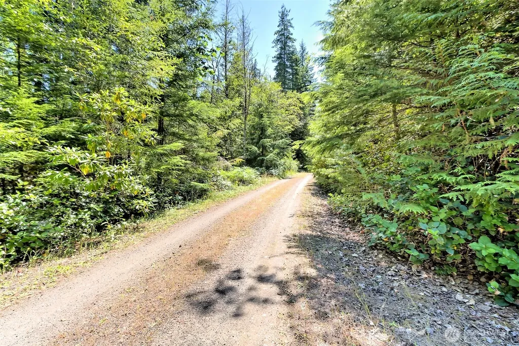 0 NE Eagle Creek Lane Tahuya WA 98528