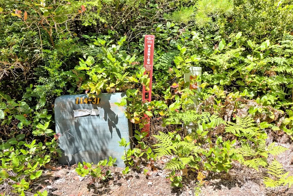 0 NE Eagle Creek Lane Tahuya WA 98528