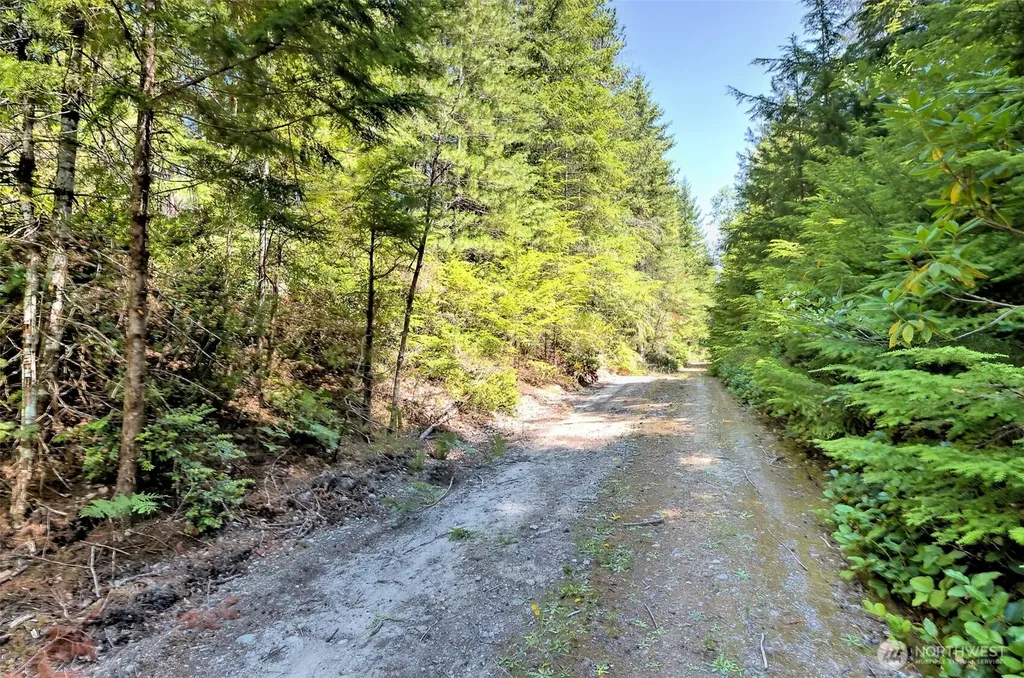 0 NE Eagle Creek Lane Tahuya WA 98528