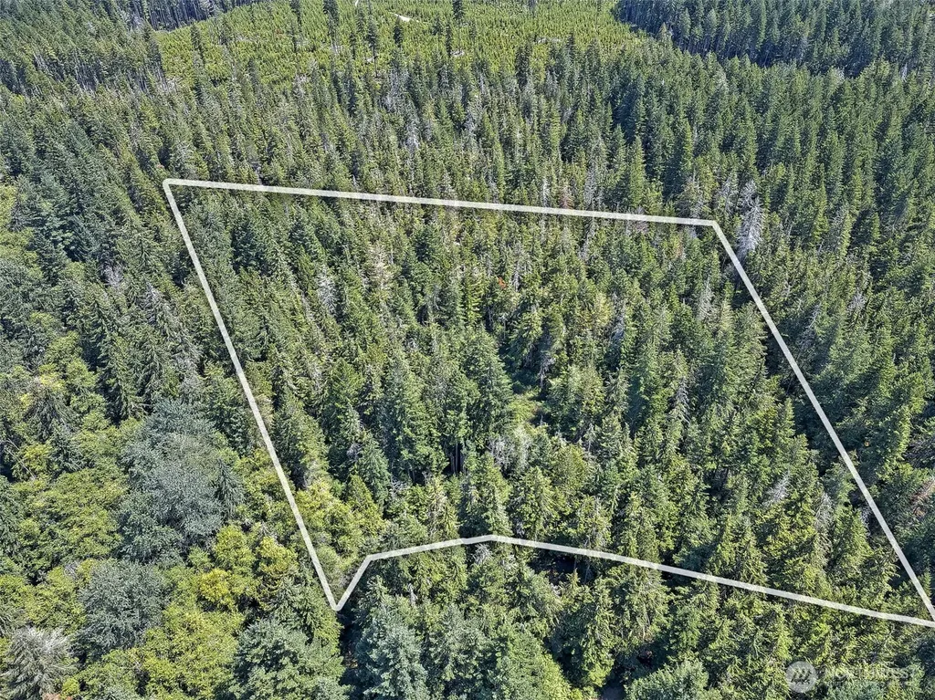 0 NE Eagle Creek Lane Tahuya WA 98528