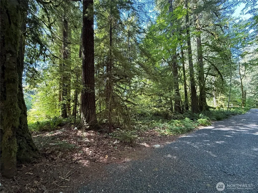 0 Silver Lake Road Maple Falls WA 98266