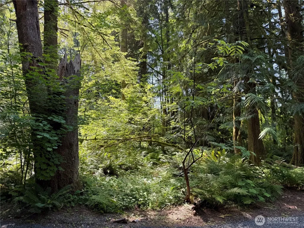 0 Silver Lake Road Maple Falls WA 98266