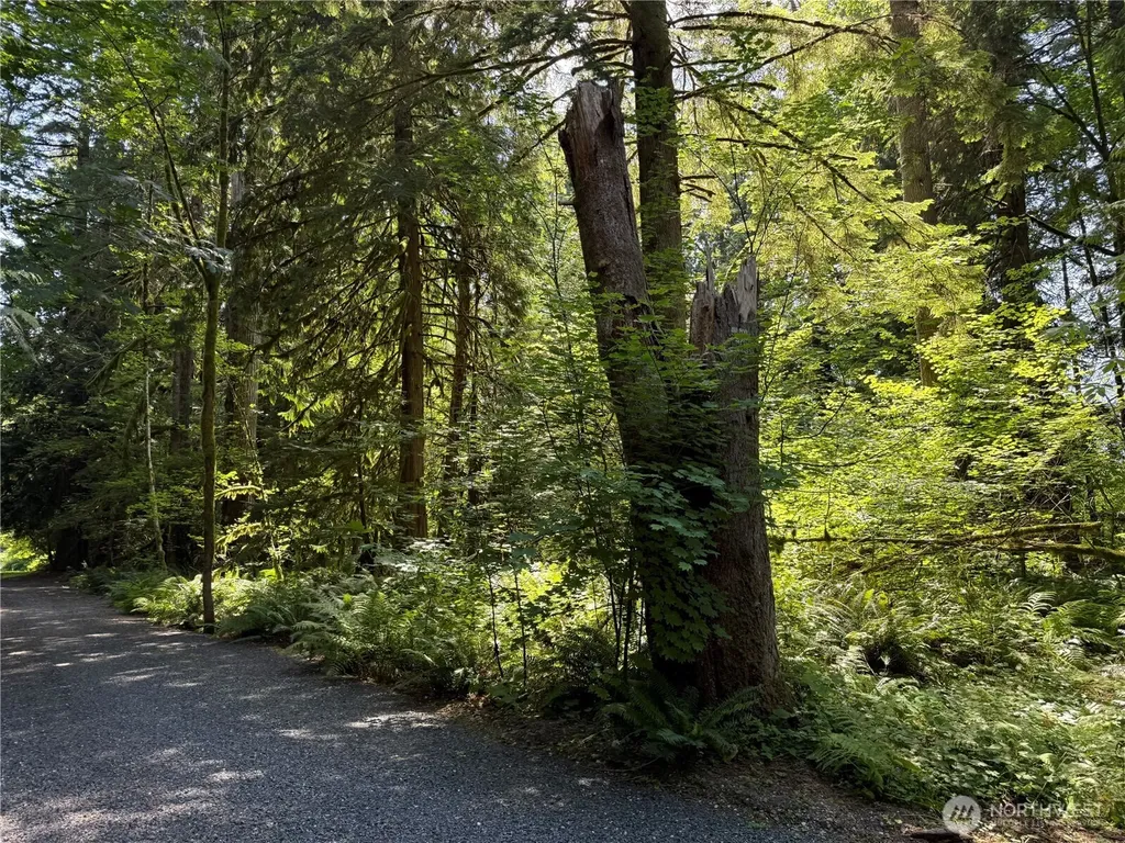0 Silver Lake Road Maple Falls WA 98266