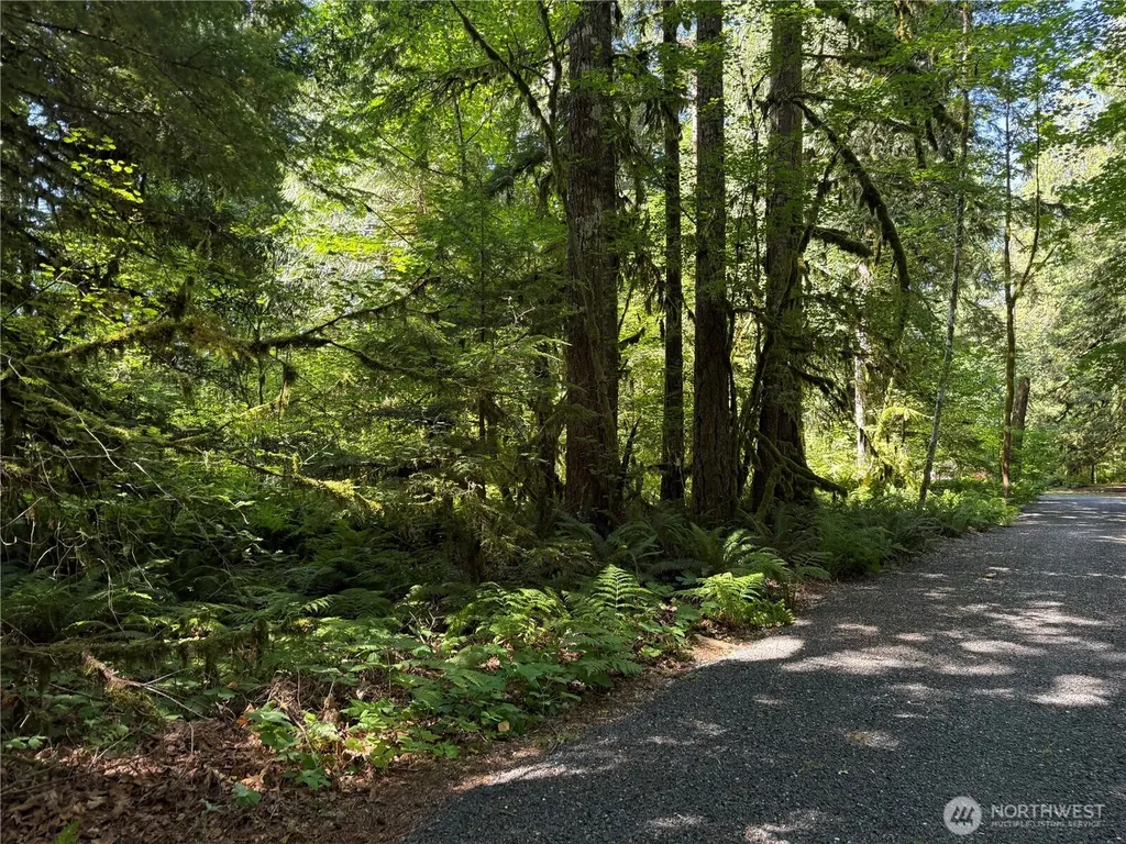 0 Silver Lake Road Maple Falls WA 98266