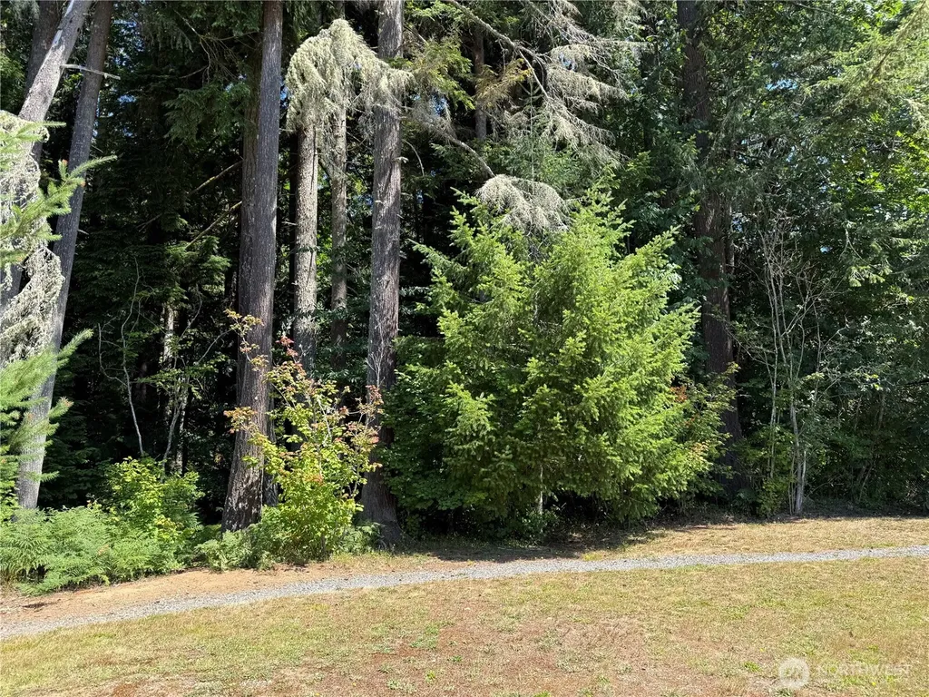 0 Silver Lake Road Maple Falls WA 98266