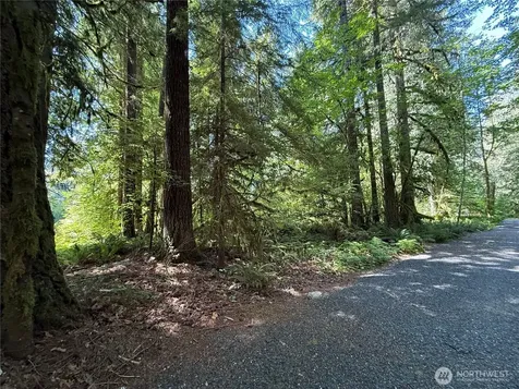 0 Silver Lake Road Maple Falls WA 98266