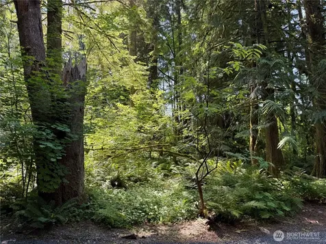 0 Silver Lake Road Maple Falls WA 98266