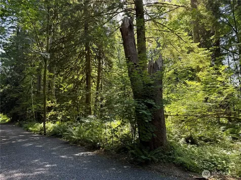 0 Silver Lake Road Maple Falls WA 98266