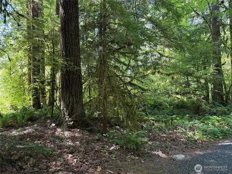 0 Silver Lake Road Maple Falls WA 98266