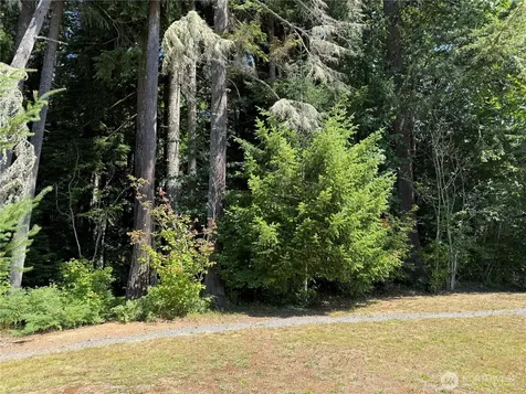 0 Silver Lake Road Maple Falls WA 98266