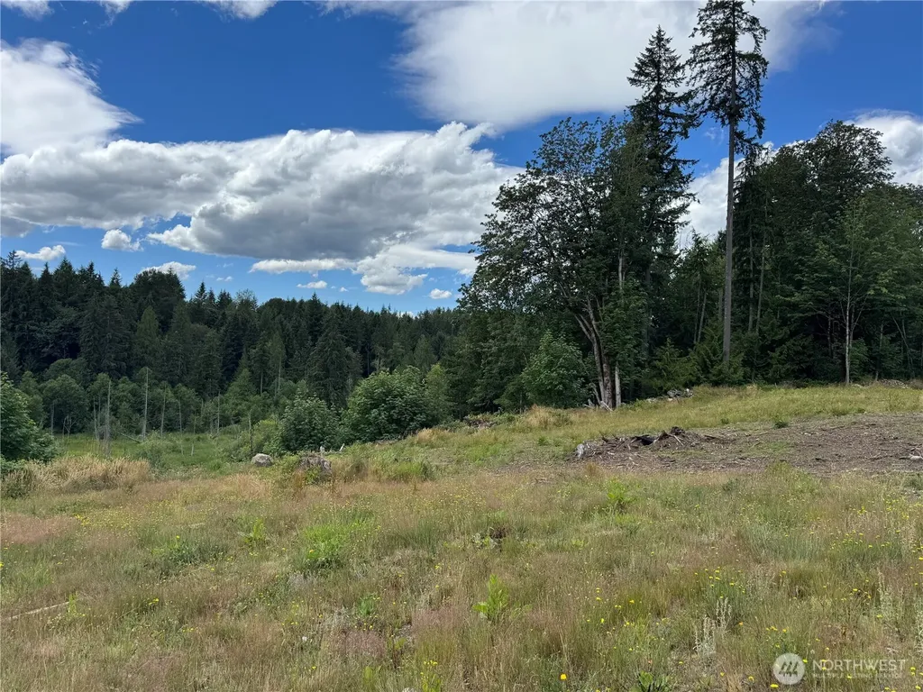 0 328th Avenue NE Duvall WA 98019