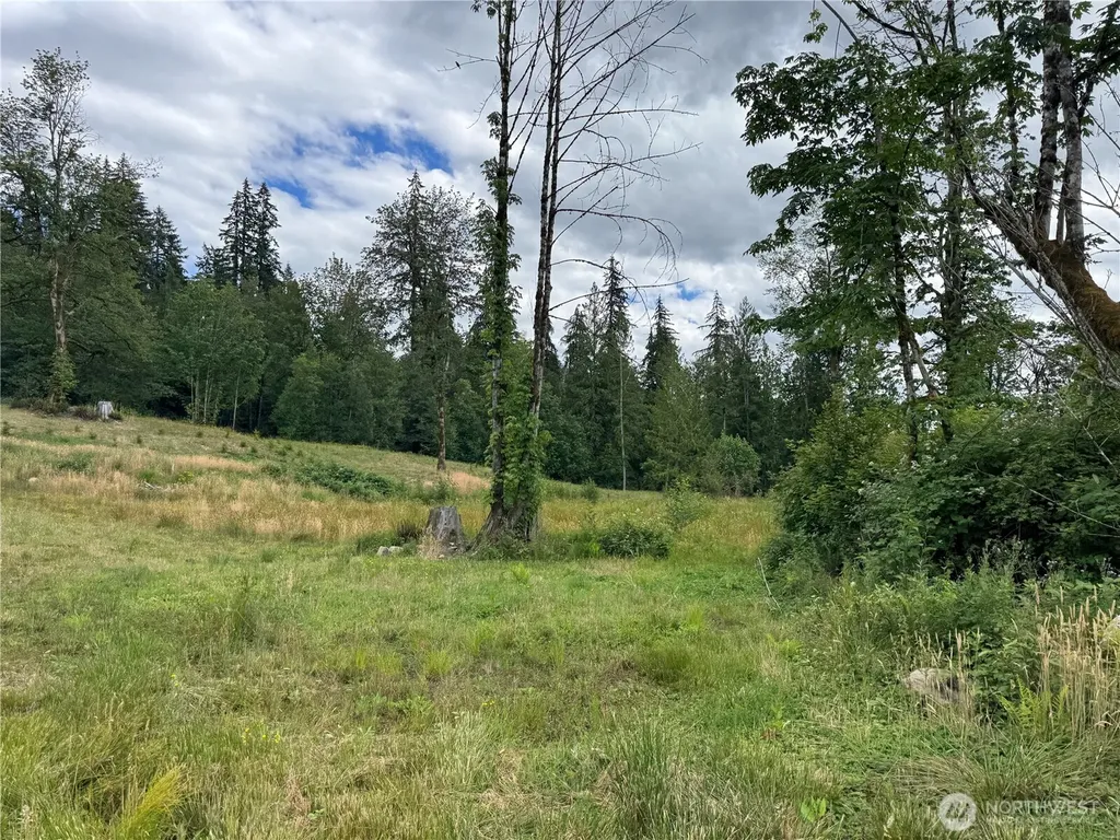 0 328th Avenue NE Duvall WA 98019