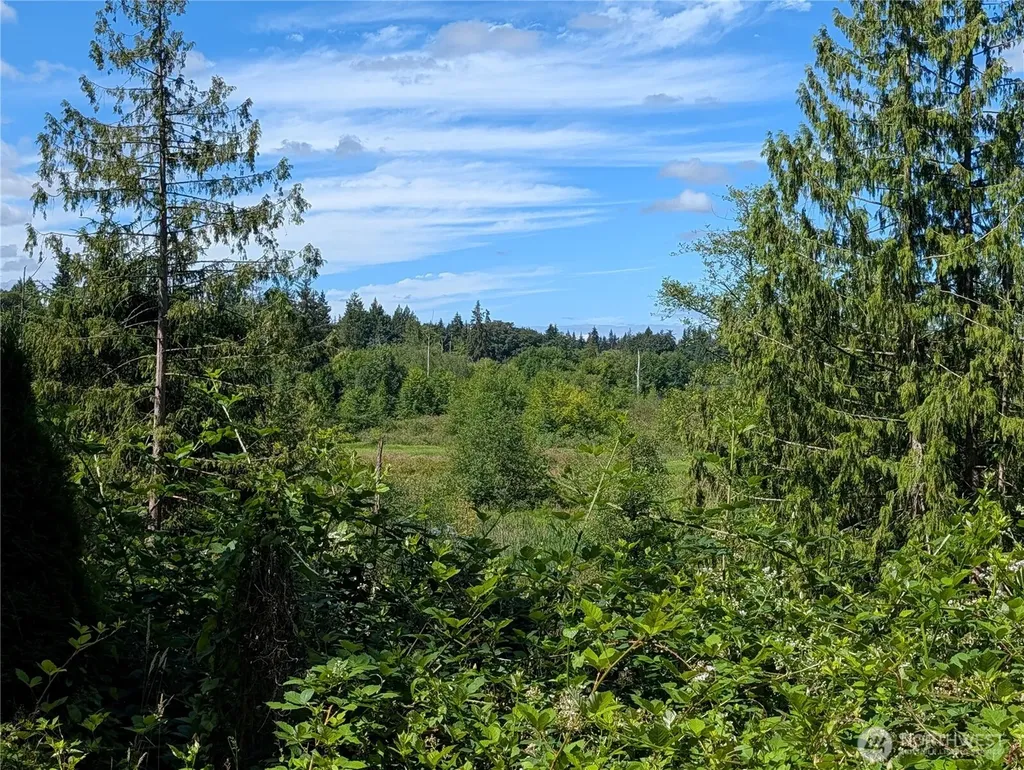 6109 Cemetery Road Arlington WA 98223