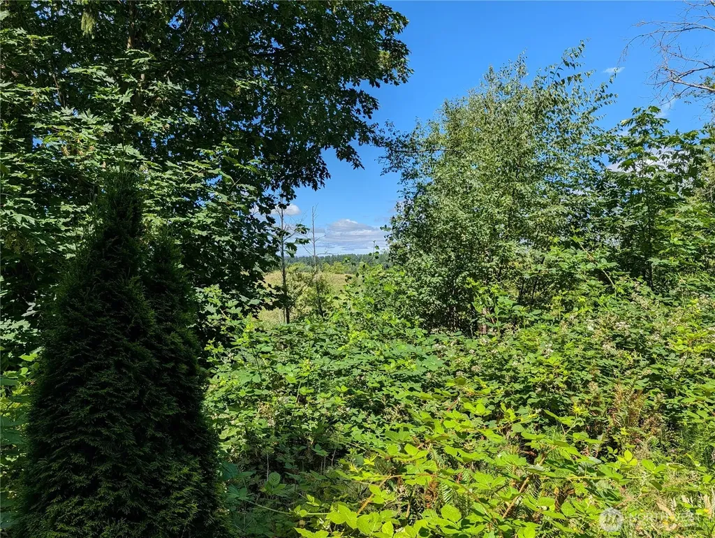 6109 Cemetery Road Arlington WA 98223