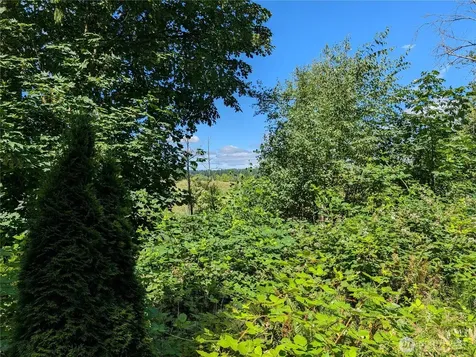 6109 Cemetery Road Arlington WA 98223