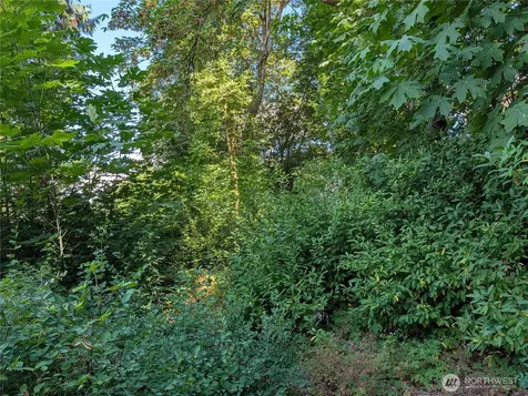 6109 Cemetery Road Arlington WA 98223
