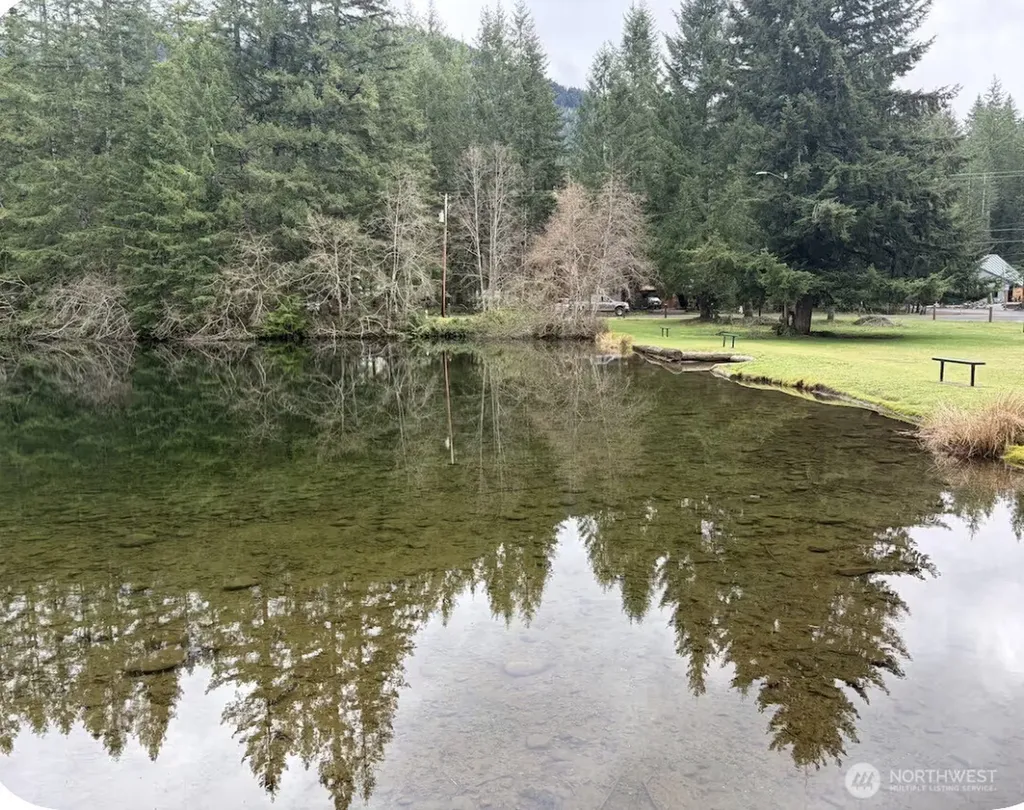 178 Skate Creek Road N Ashford WA 98328
