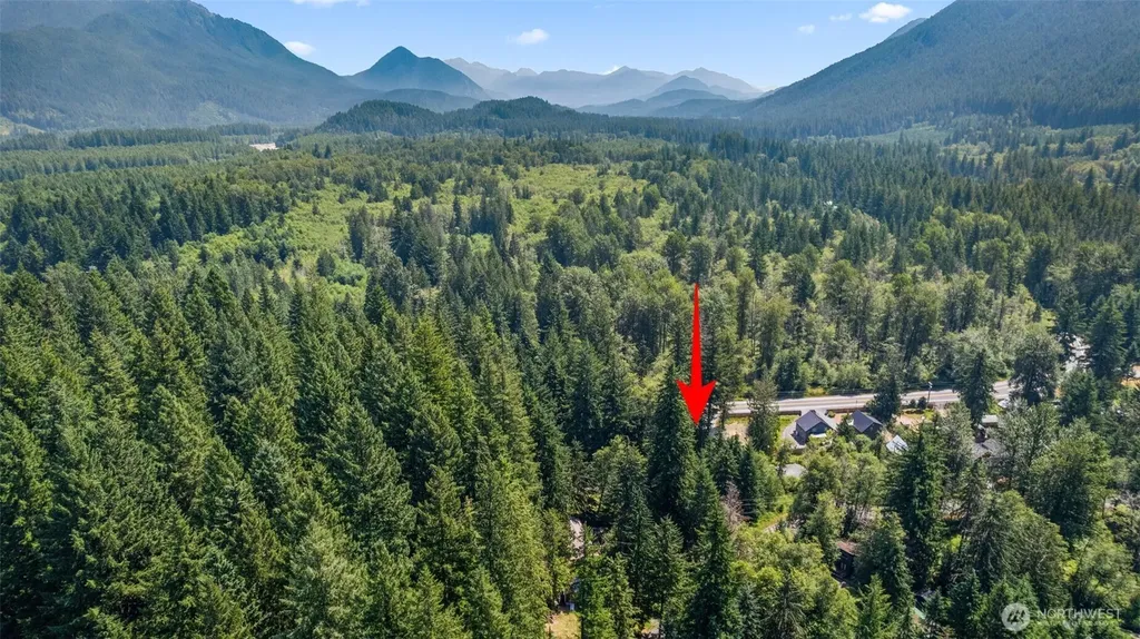 178 Skate Creek Road N Ashford WA 98328