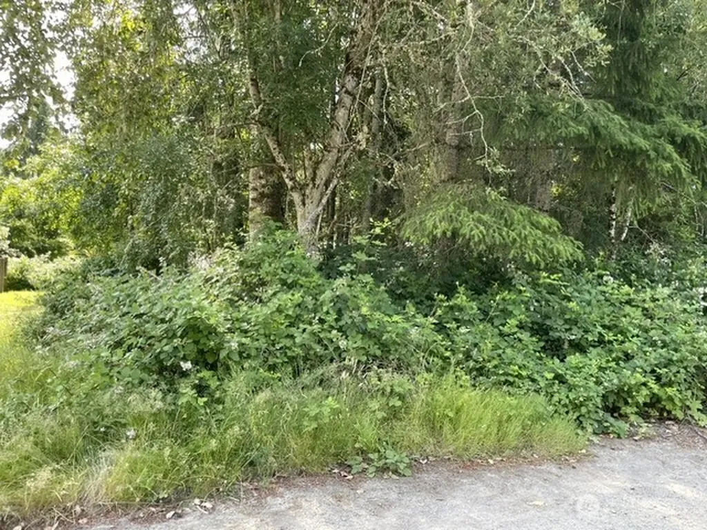 0 Rest Place NE Bremerton WA 98311