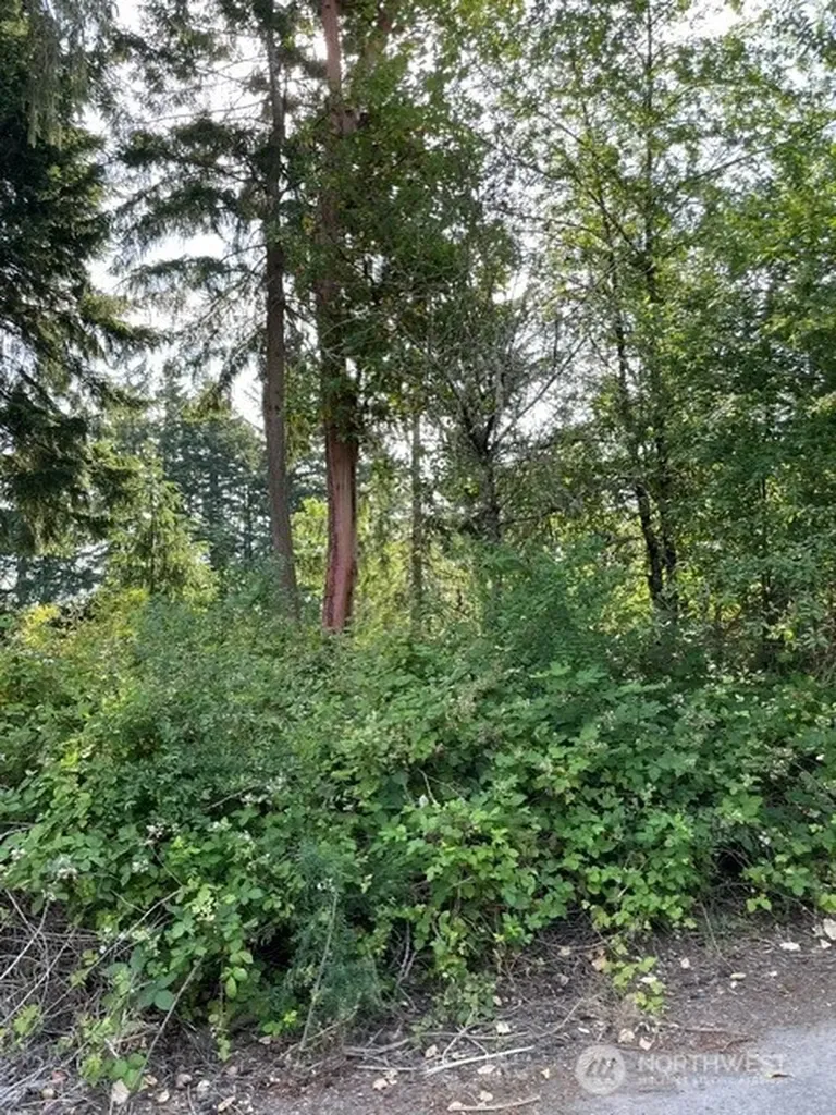 0 Rest Place NE Bremerton WA 98311