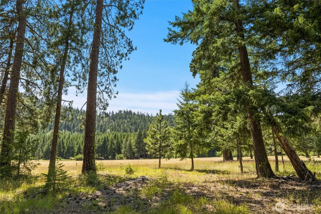 18 Domerie Park Loop Cle Elum WA 98922