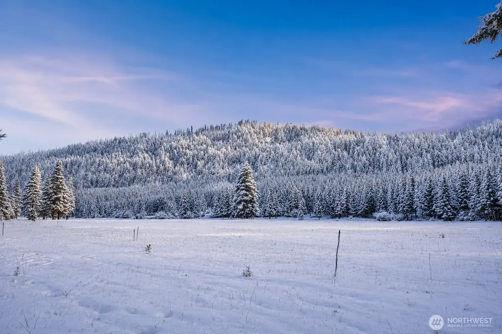 18 Domerie Park Loop Cle Elum WA 98922