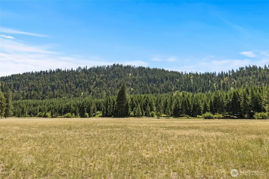 18 Domerie Park Loop Cle Elum WA 98922