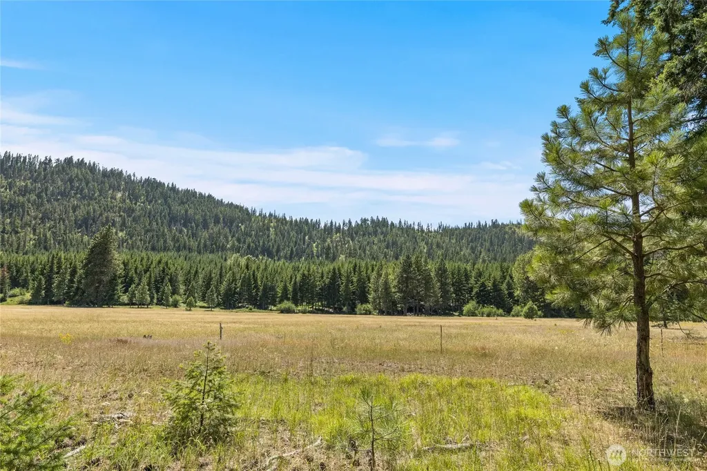 18 Domerie Park Loop Cle Elum WA 98922