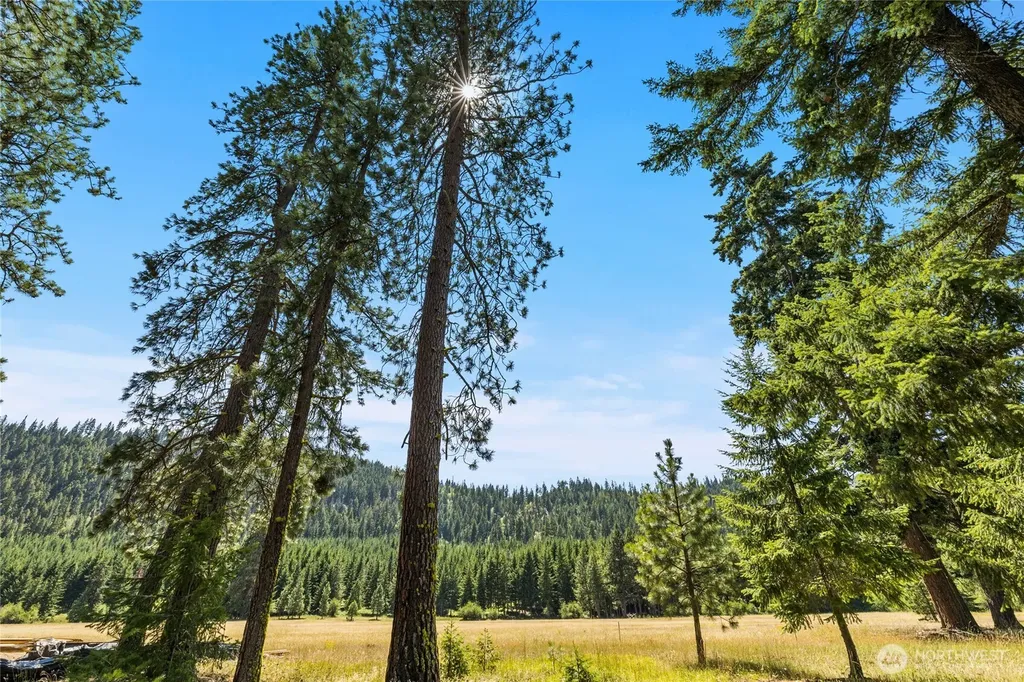 18 Domerie Park Loop Cle Elum WA 98922
