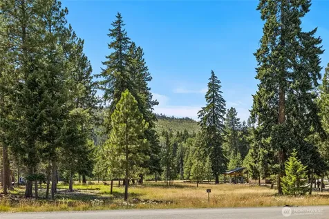 18 Domerie Park Loop Cle Elum WA 98922