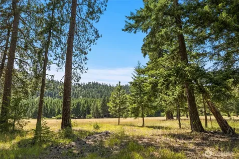 18 Domerie Park Loop Cle Elum WA 98922