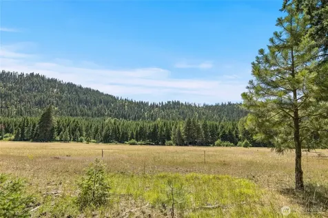 18 Domerie Park Loop Cle Elum WA 98922