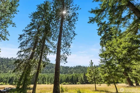 18 Domerie Park Loop Cle Elum WA 98922