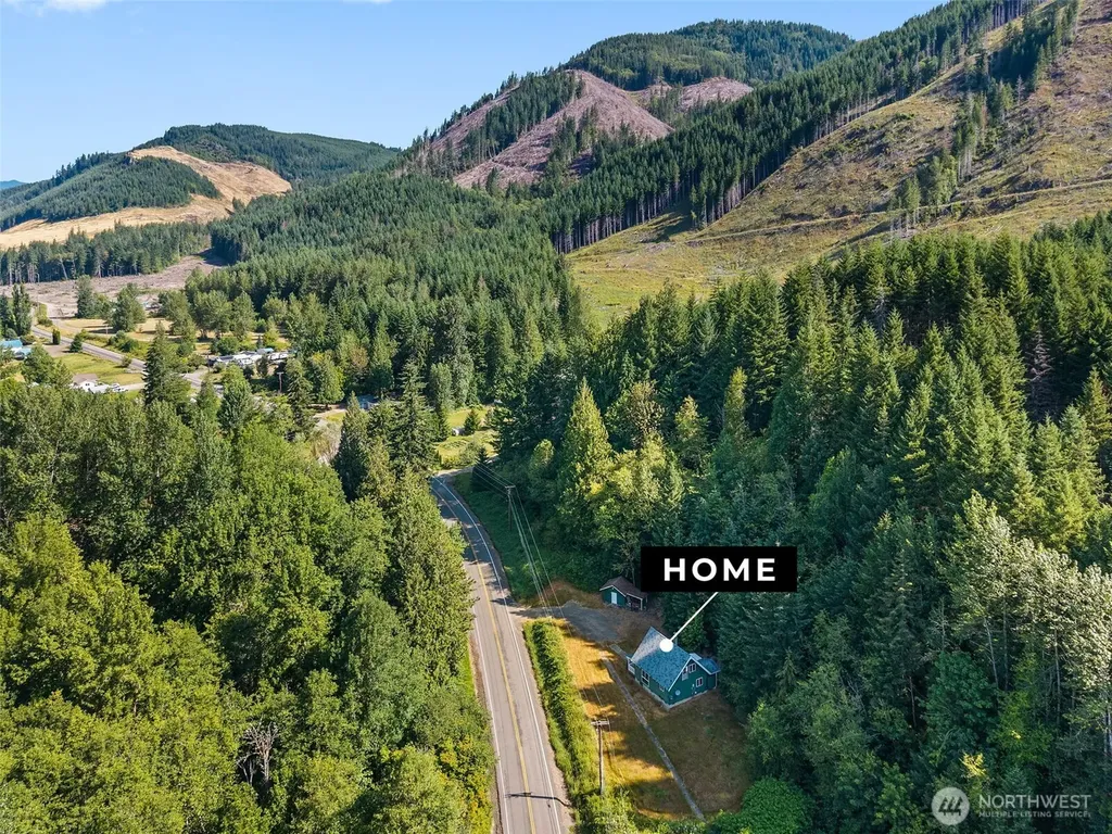 995 Davis Lake Road Morton WA 98356
