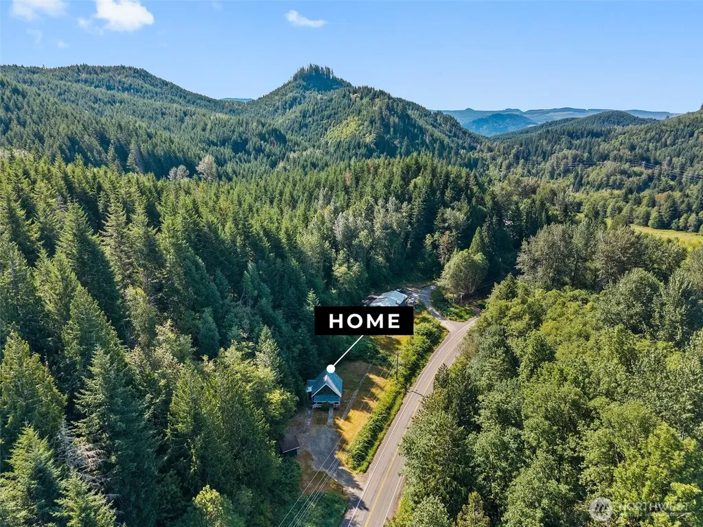 995 Davis Lake Road Morton WA 98356