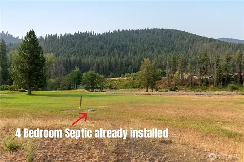84 Poorman Creek Road Twisp WA 98856