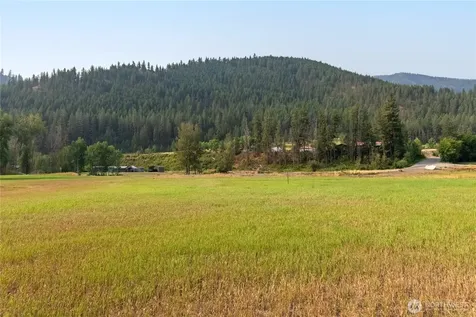 84 Poorman Creek Road Twisp WA 98856