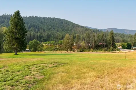 70 Poorman Creek Road Twisp WA 98856