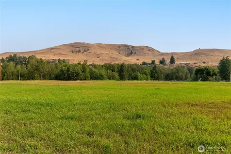70 Poorman Creek Road Twisp WA 98856