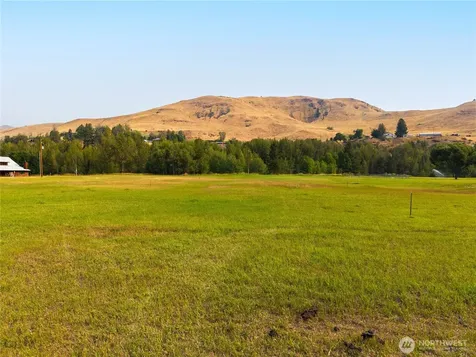 70 Poorman Creek Road Twisp WA 98856
