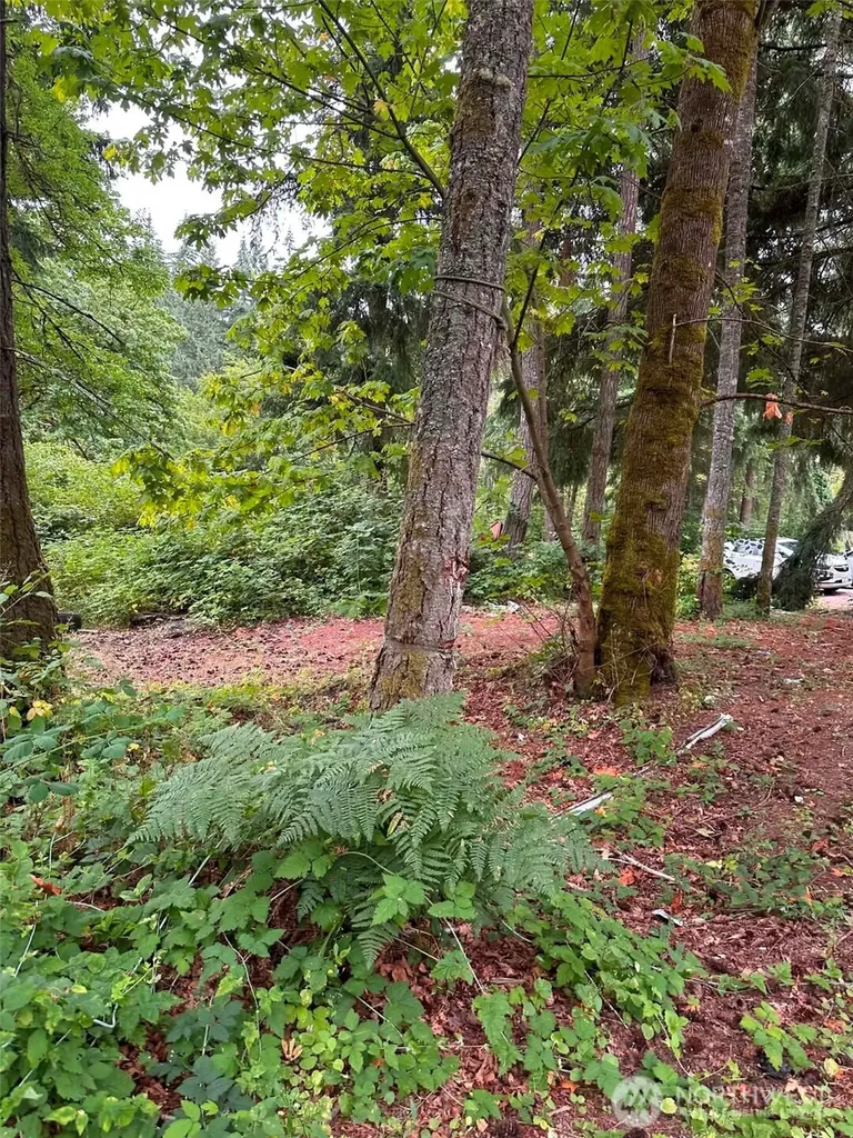 14140 Old Highway 99 SE Tenino WA 98589