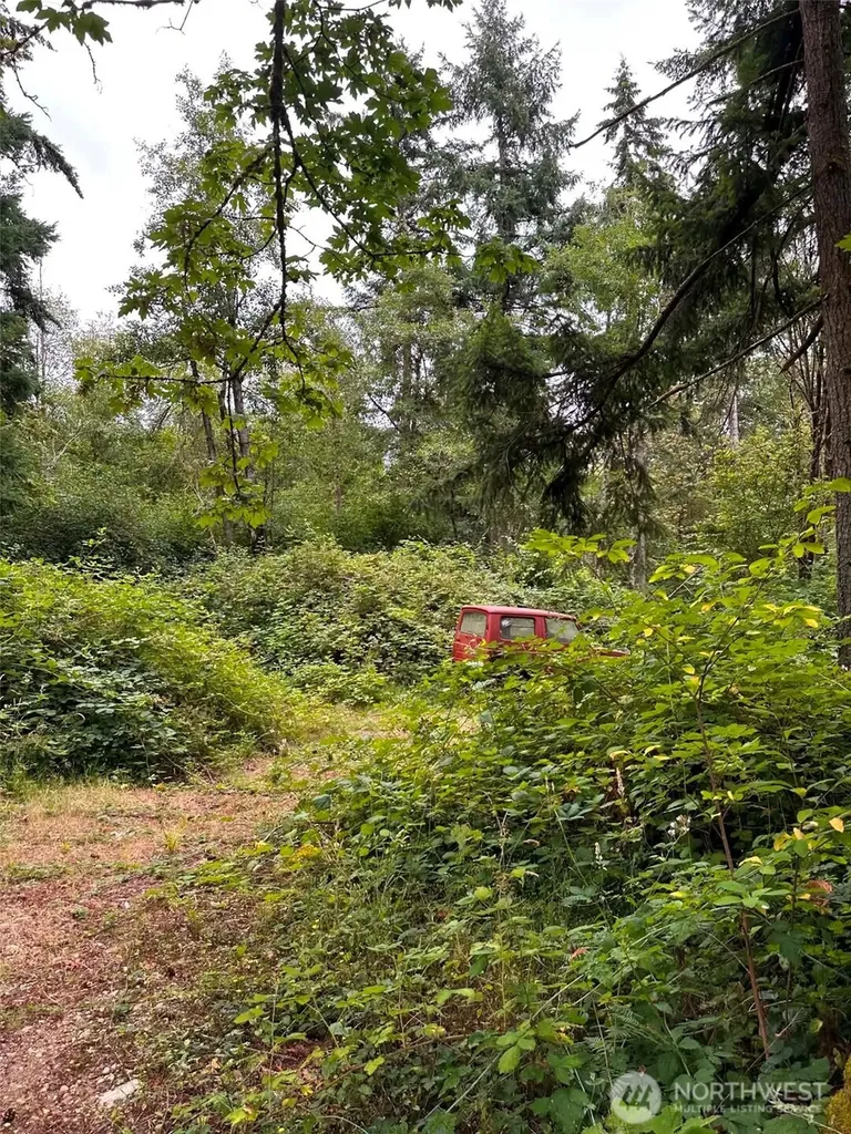 14140 Old Highway 99 SE Tenino WA 98589