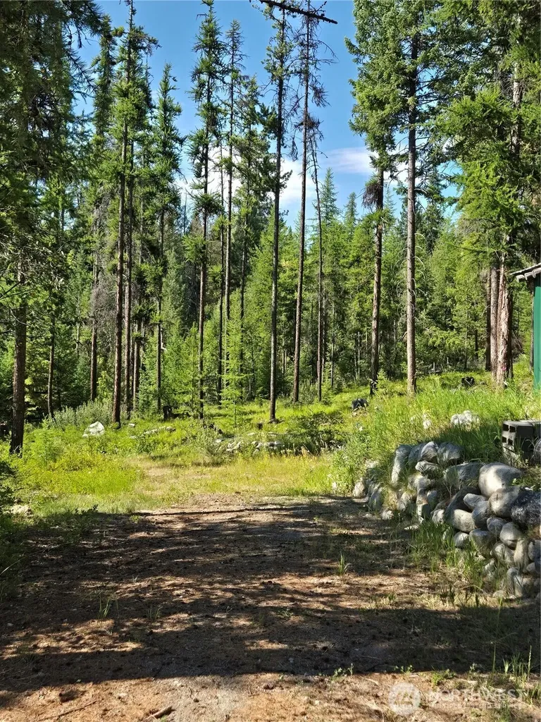 61 Rone Road Tonasket WA 98855