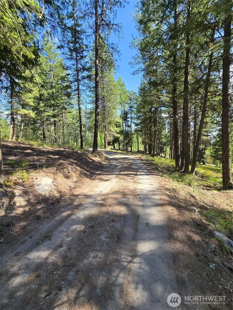 61 Rone Road Tonasket WA 98855