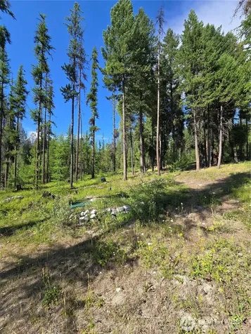 61 Rone Road Tonasket WA 98855