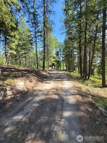 61 Rone Road Tonasket WA 98855