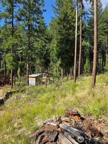 61 Rone Road Tonasket WA 98855